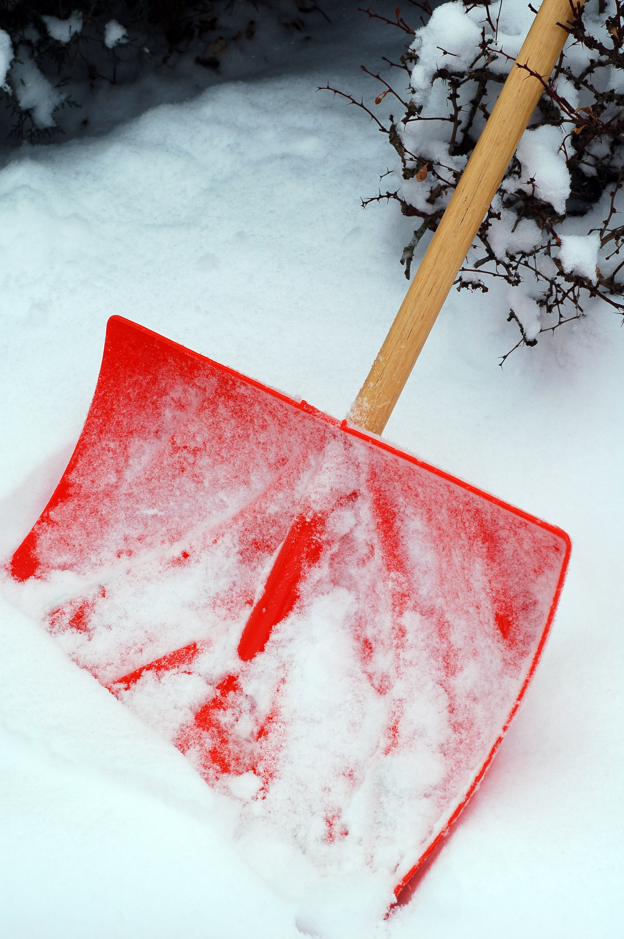 Read more about the article Shoveling Party – Saturday, January 31st at 9 AM