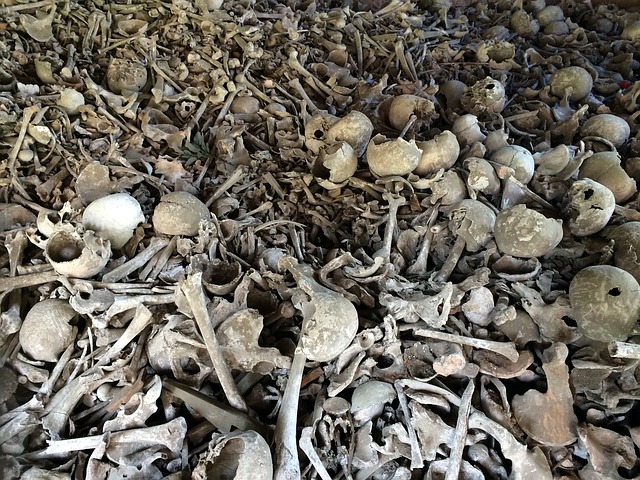 Read more about the article Sunday September 10th, 10:15 AM – Can These Bones Live?