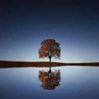 Sunday October 21st – Nick at Night