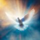 Sunday, October 29th Sermon – The Transformational Gospel, The Comfort of the Holy Spirit