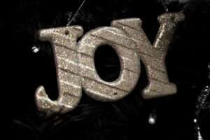Read more about the article Sunday, December 17th AM Sermon – The Joy of Christmas